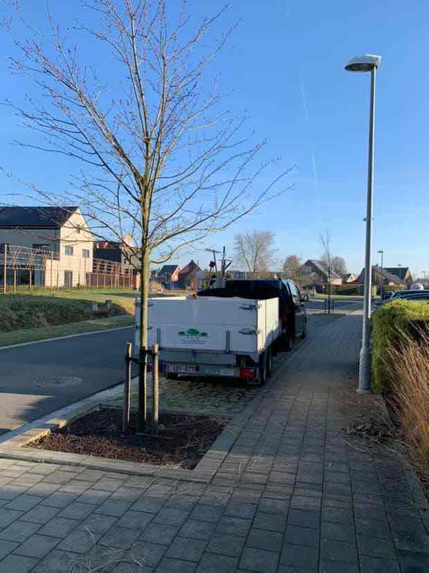  TLV Tuinonderhoud Kemzeke 