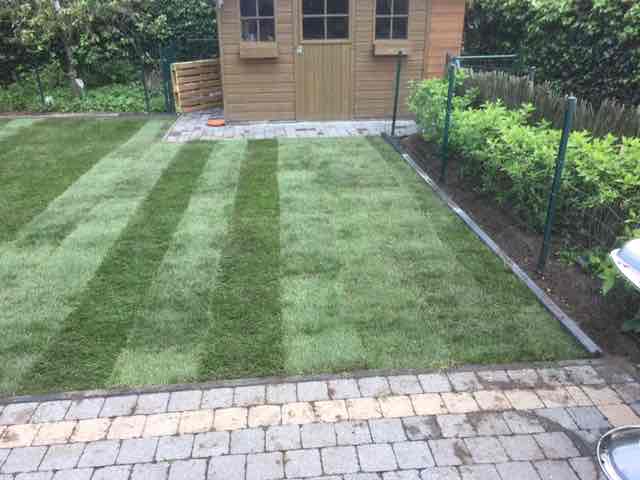  TLV Tuinonderhoud Kemzeke 