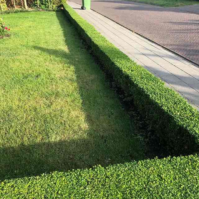  TLV Tuinonderhoud Kemzeke 